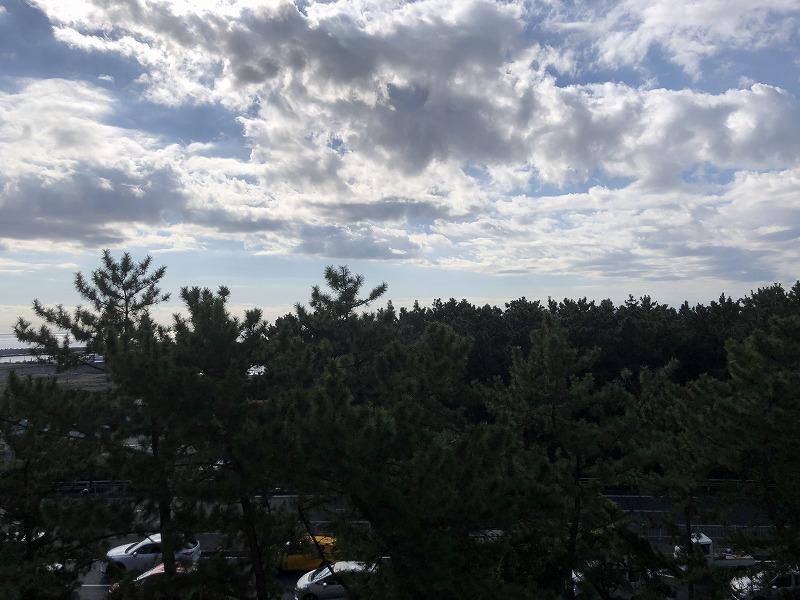海見えですが、防潮林の松林が視界の中で多くを占めます。