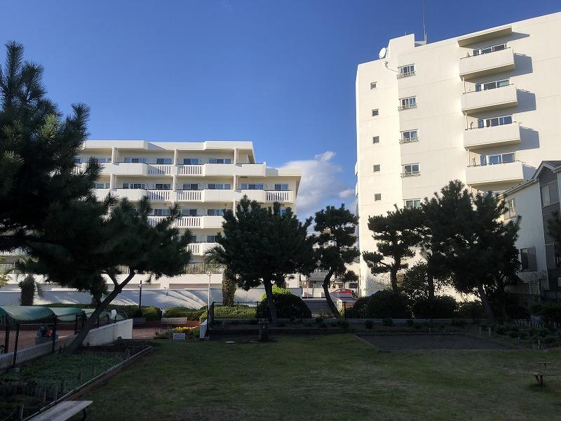公園越しの建物