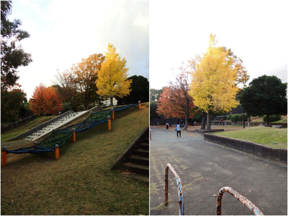 近所の高谷公園
