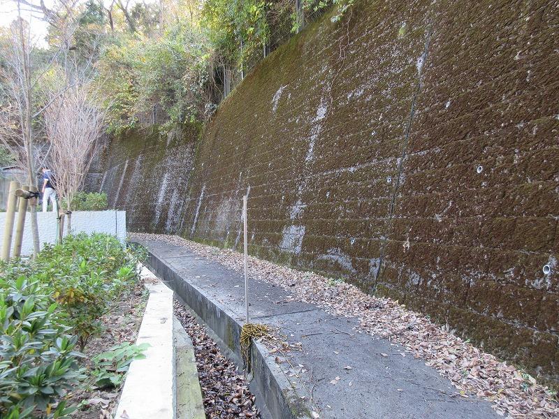 裏の側溝と国有地の部分