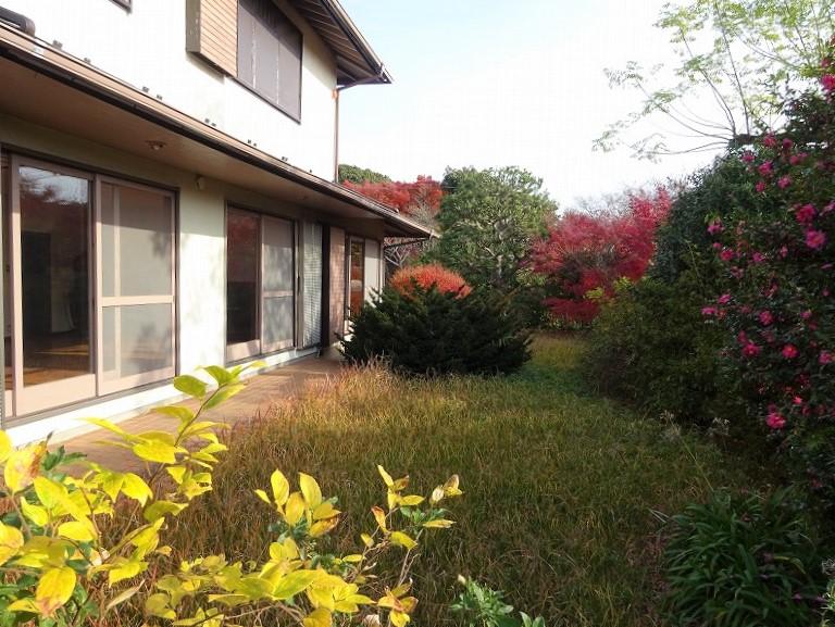 庭が広いので日の光もしっかり入ります。