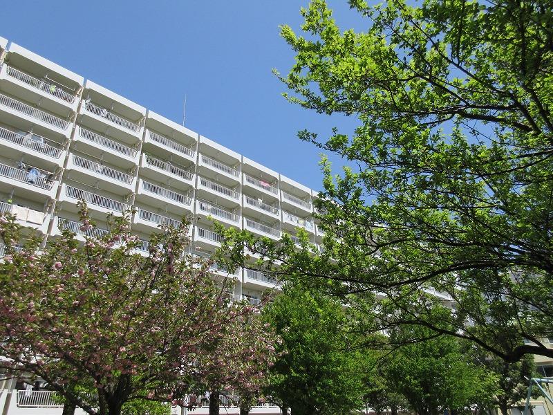 奥田公園からマンションを見るのも好き(5月の写真です)