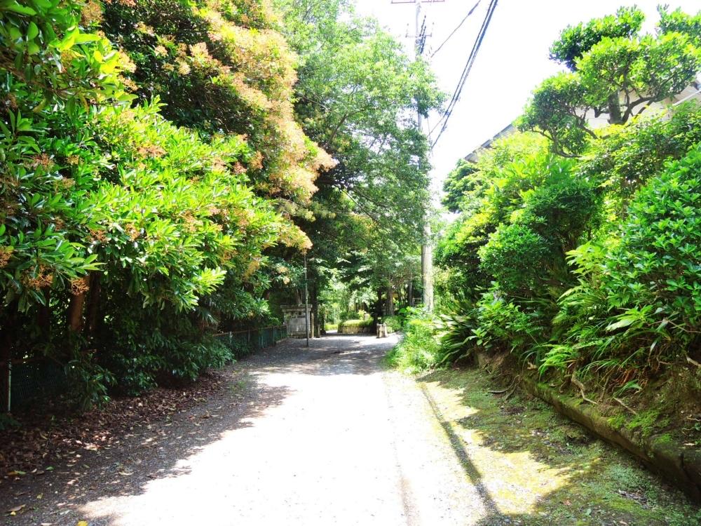 前面道路|川の音を聞きながら帰る