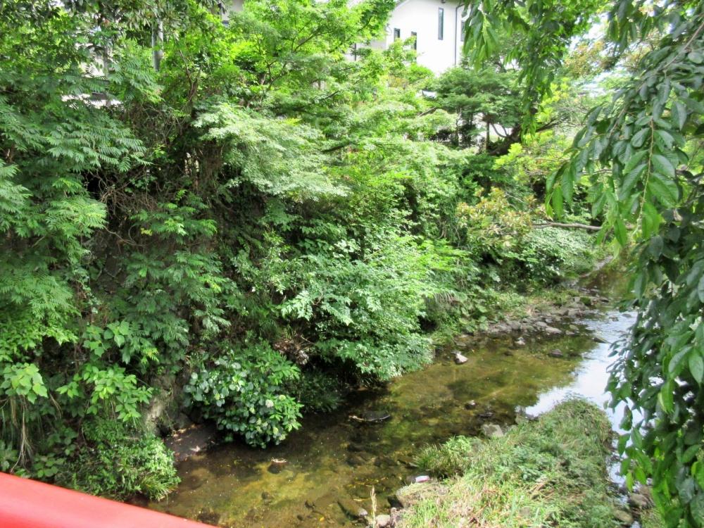 滑川沿は歩いているだけで気持ちが良い
