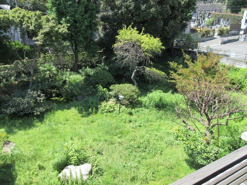2階から庭を見る