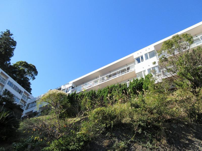 マンションの敷地内