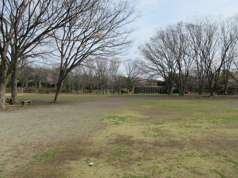 周辺|茅ヶ崎中央公園で遊ぶのも楽しい
