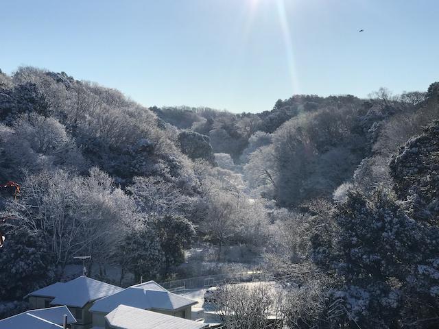 鎌倉市山崎の賃貸物件/雪の日の写真をオーナーからいただきました
