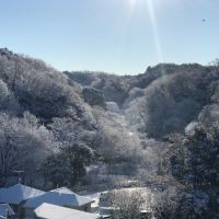 鎌倉市山崎の賃貸物件/雪の日の写真をオーナーからいただきました