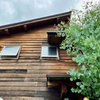 鎌倉市山崎の賃貸物件/ユーカリの木は伸び盛りです