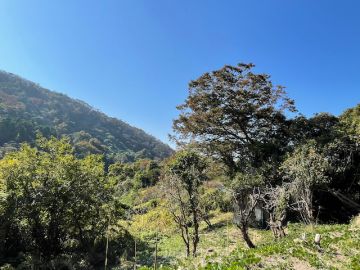 横須賀市子安の売買物件/子安の里でワイルドにいこう