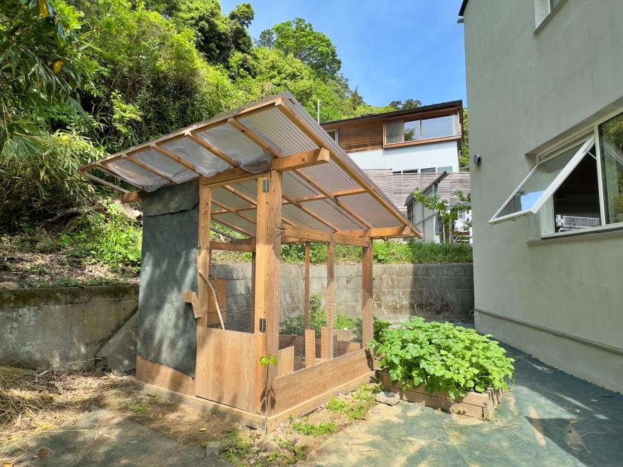鎌倉市西御門一丁目の賃貸物件/鶏小屋｜オーナー手作りの小屋。鶏の飼育大歓迎です