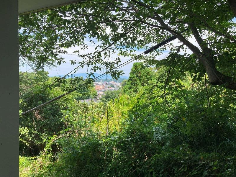 鎌倉市山ノ内の賃貸物件/夏の頃の眺望。緑が濃くなります