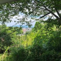 鎌倉市山ノ内の賃貸物件/夏の頃の眺望。緑が濃くなります