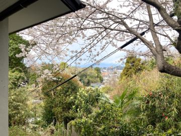 鎌倉市山ノ内の賃貸物件/森のひと（一人暮らし向き）