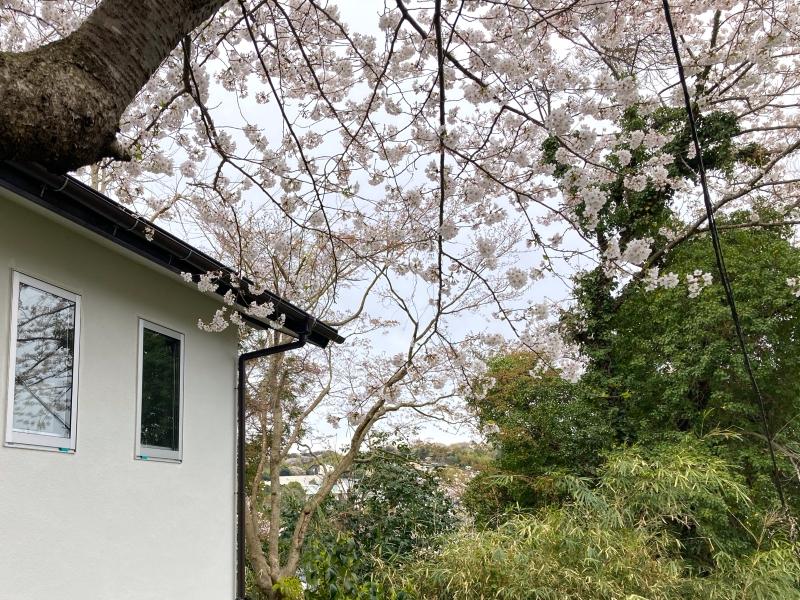 鎌倉市山ノ内の賃貸物件