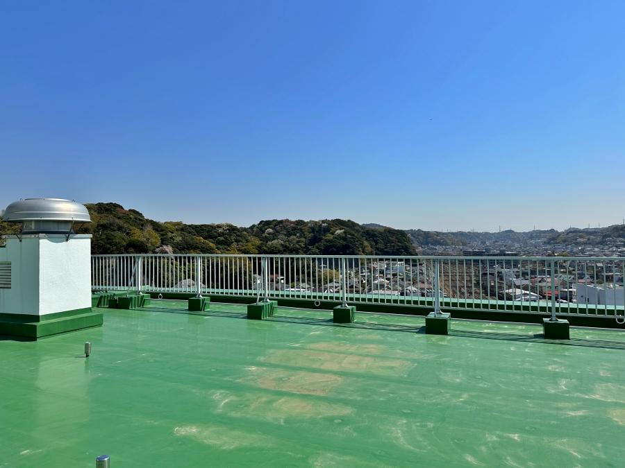 逗子市山の根一丁目の賃貸物件/屋上｜床の緑に空の青が映えます
