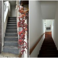 鎌倉市扇ガ谷一丁目の賃貸物件/外からの階段（エレベーターなし）｜室内の階段