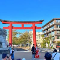 鎌倉市小町二丁目の賃貸物件/日中はこのように、華やかな鎌倉。これも日常です。