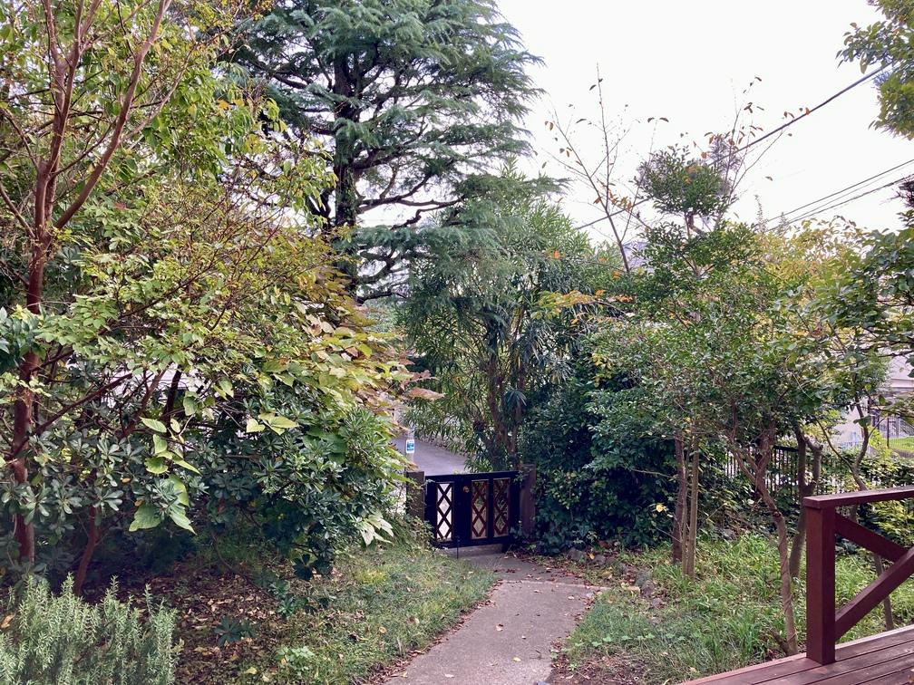 藤沢市鵠沼松が岡五丁目の賃貸物件/庭木が立派に成長しています