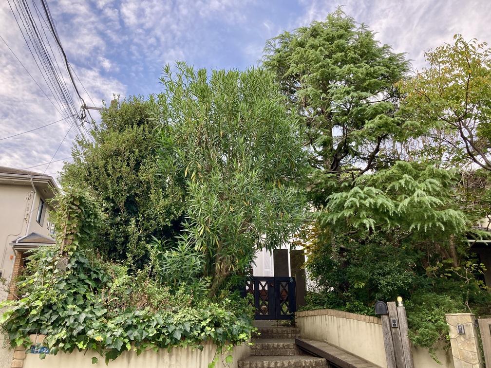 藤沢市鵠沼松が岡五丁目の賃貸物件/庭木がよく茂っており、外からは外観が分からないくらいです