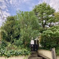 藤沢市鵠沼松が岡五丁目の賃貸物件/庭木がよく茂っており、外からは外観が分からないくらいです