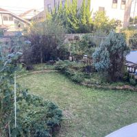 逗子市新宿二丁目の賃貸物件/庭は海と反対側です。広々していて良い