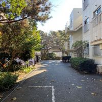 藤沢市辻堂太平台二丁目の売買物件/敷地内は植栽がしっかりしています