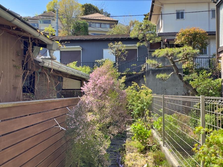 鎌倉市台の賃貸物件/家から庭を見る｜路地状のガーデンには枕木が敷かれエリカの花が綺麗に咲いていました