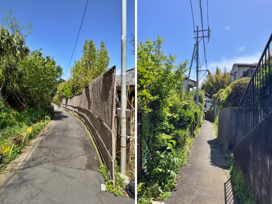 鎌倉市台の賃貸物件/家までのアプローチ｜生垣や苔むした竹垣を左右に見ながら進んでいきます
