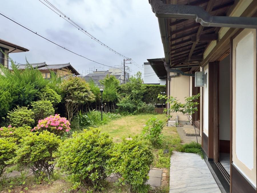 葉山町堀内の売買物件/庭｜植栽で周囲の視線も緩く遮っています