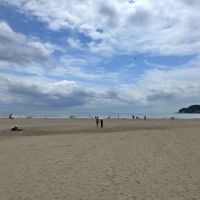 鎌倉市由比ガ浜二丁目の賃貸物件/由比ガ浜海水浴場｜ここまで徒歩5分ほどで来れるのはありがたい