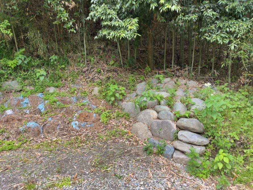 鎌倉市長谷三丁目の売買物件/ステージ1｜竹のエリアもどうにかして活用したい