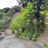 鎌倉市長谷三丁目の売買物件/前面道路と敷地の入り口｜前面道路も幅員にゆとりがあります