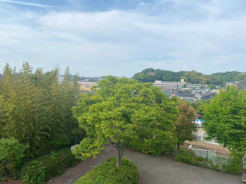 鎌倉市笛田三丁目の賃貸物件/北西側も緑がたっぷり
