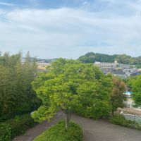 鎌倉市笛田三丁目の賃貸物件/北西側も緑がたっぷり