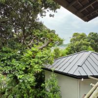 葉山町下山口の売買物件/2階からの眺望｜枝葉の隙間からチラリと覗くこの感じもなかなか悪くありません
