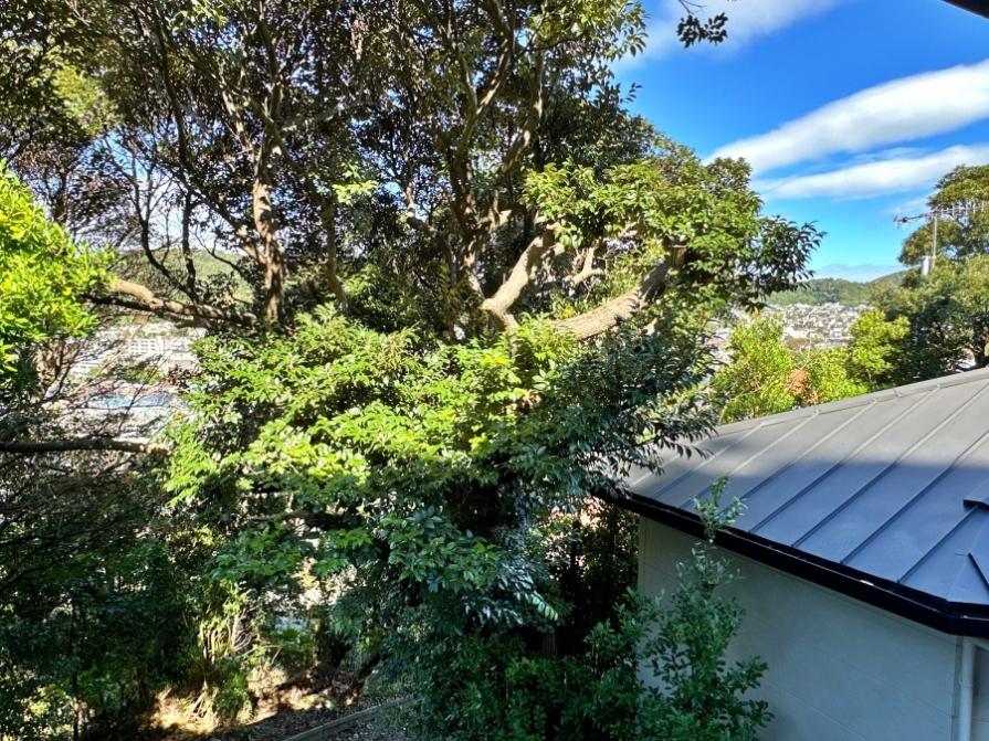 葉山町下山口の売買物件/2階からの眺望｜枝葉の隙間からチラリと覗くこの感じもなかなか悪くありません