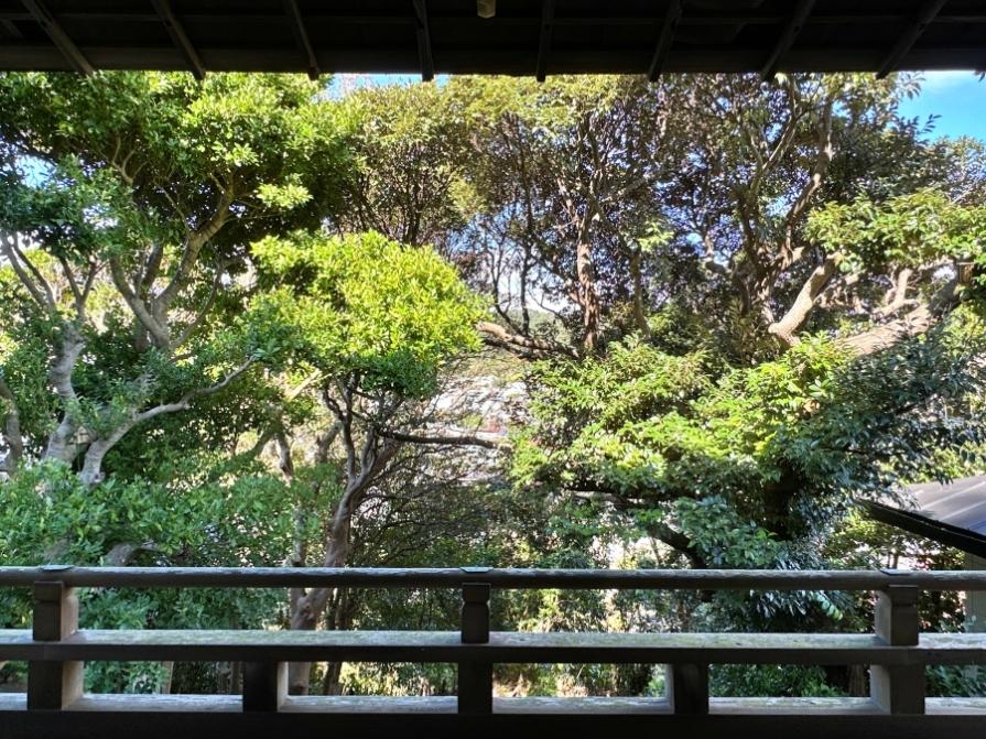 葉山町下山口の売買物件/2階からの眺望｜スロープ側を見るとこんな感じ。樹々に守られています。向こうは葉山一色の街並みです