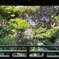 葉山町下山口の売買物件/2階からの眺望｜スロープ側を見るとこんな感じ。樹々に守られています。向こうは葉山一色の街並みです