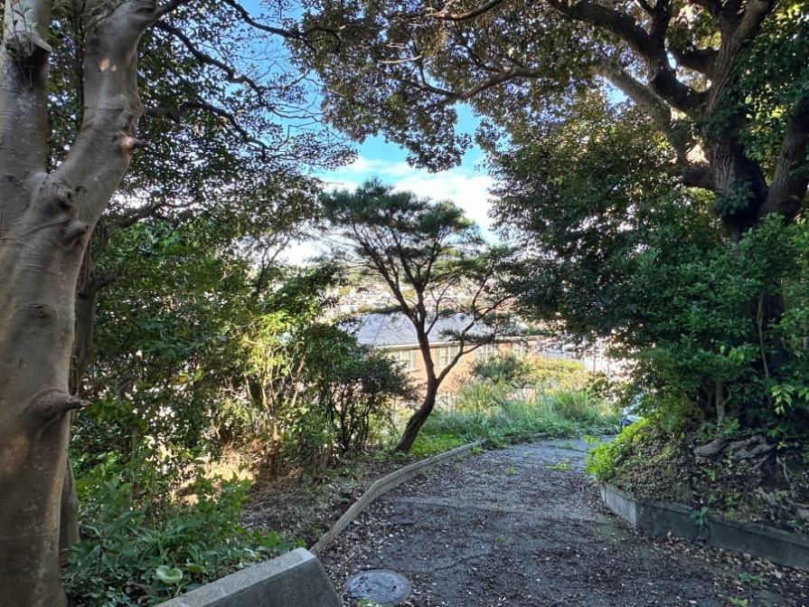 葉山町下山口の売買物件/建物から見たスロープ｜木が茂っています