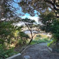 葉山町下山口の売買物件/建物から見たスロープ｜木が茂っています