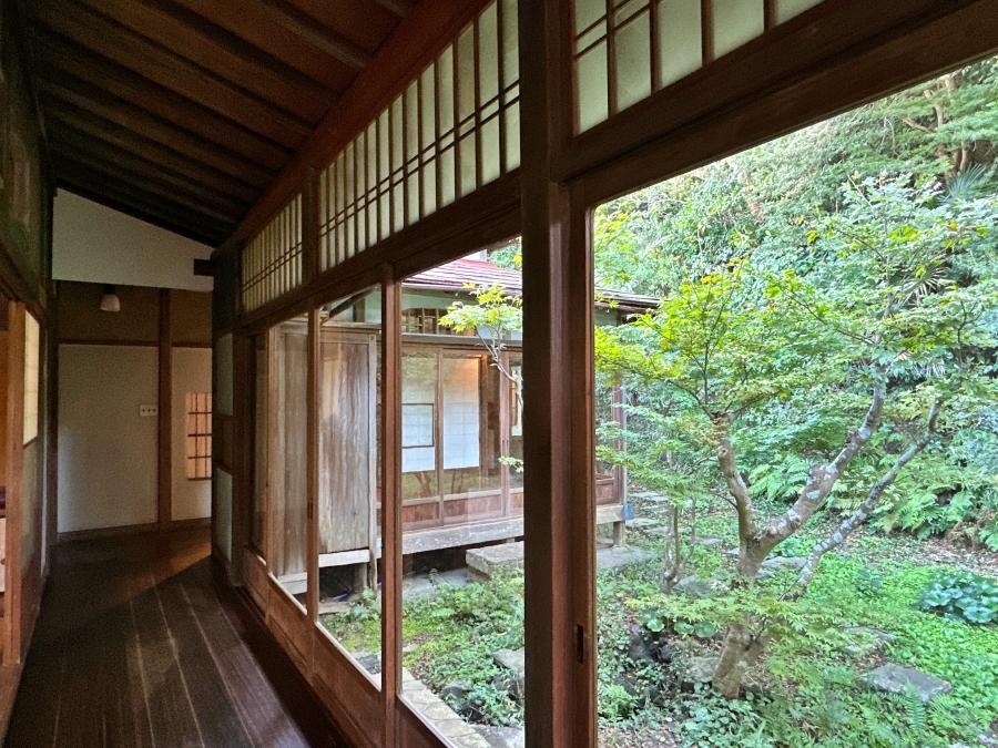 葉山町下山口の売買物件/縁側から庭を望む｜もみじの木が凛と伸びています