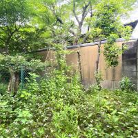 鎌倉市十二所の賃貸物件/坪庭│寺院境内の紅葉が見えます。