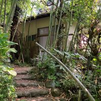 鎌倉市大町六丁目の売買物件/エントランス｜竹に囲まれています。