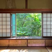 鎌倉市大町六丁目の売買物件/1階和室3｜木々が迫ってますが、切り開けば庭もできるかも。