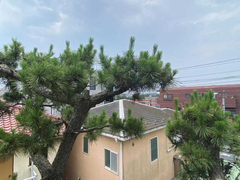 藤沢市鵠沼海岸五丁目の賃貸物件/キッチンの小窓からの眺め