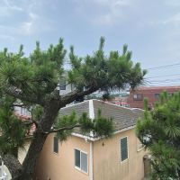 藤沢市鵠沼海岸五丁目の賃貸物件/キッチンの小窓からの眺め
