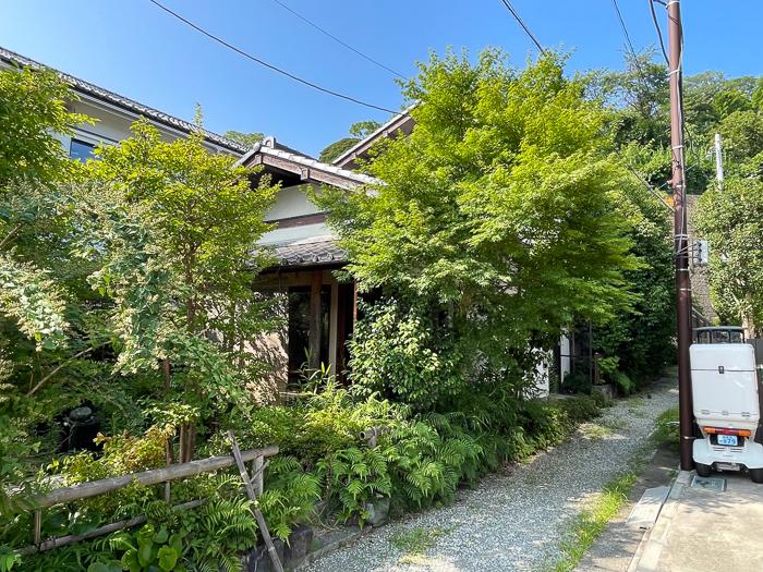 鎌倉市山ノ内の売買物件/今は大きな紅葉が成長しています