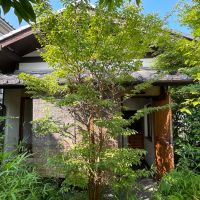 鎌倉市山ノ内の売買物件/現在の植栽の状況